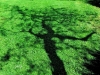 Psicologa Psicoterapeuta - Psicologa Individuale e di gruppo, per preadolescenti, adolescenti e adulti